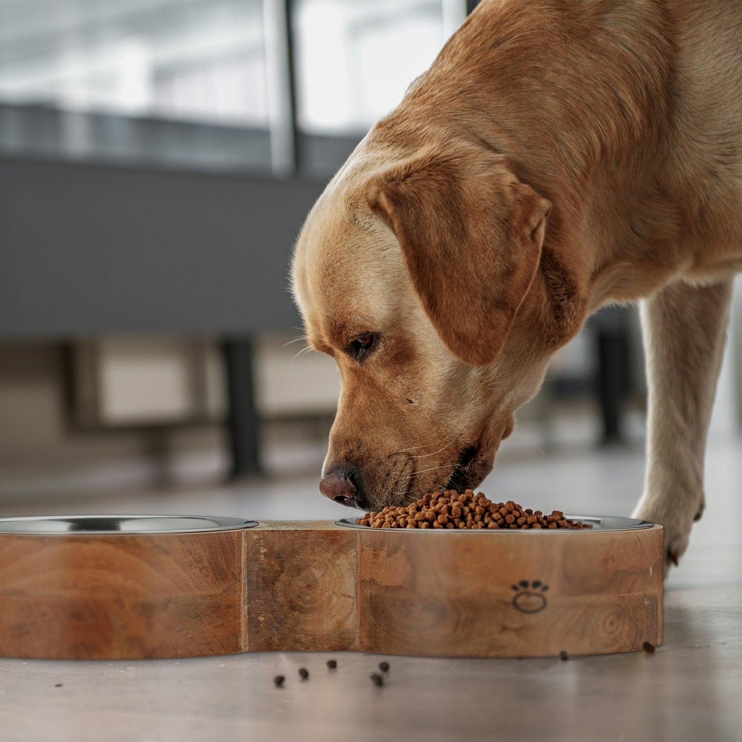 Dog bowl bar with 2 bowls