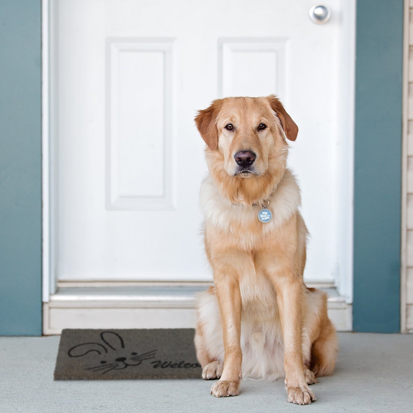 Door mat coconut fiber "Welcome"