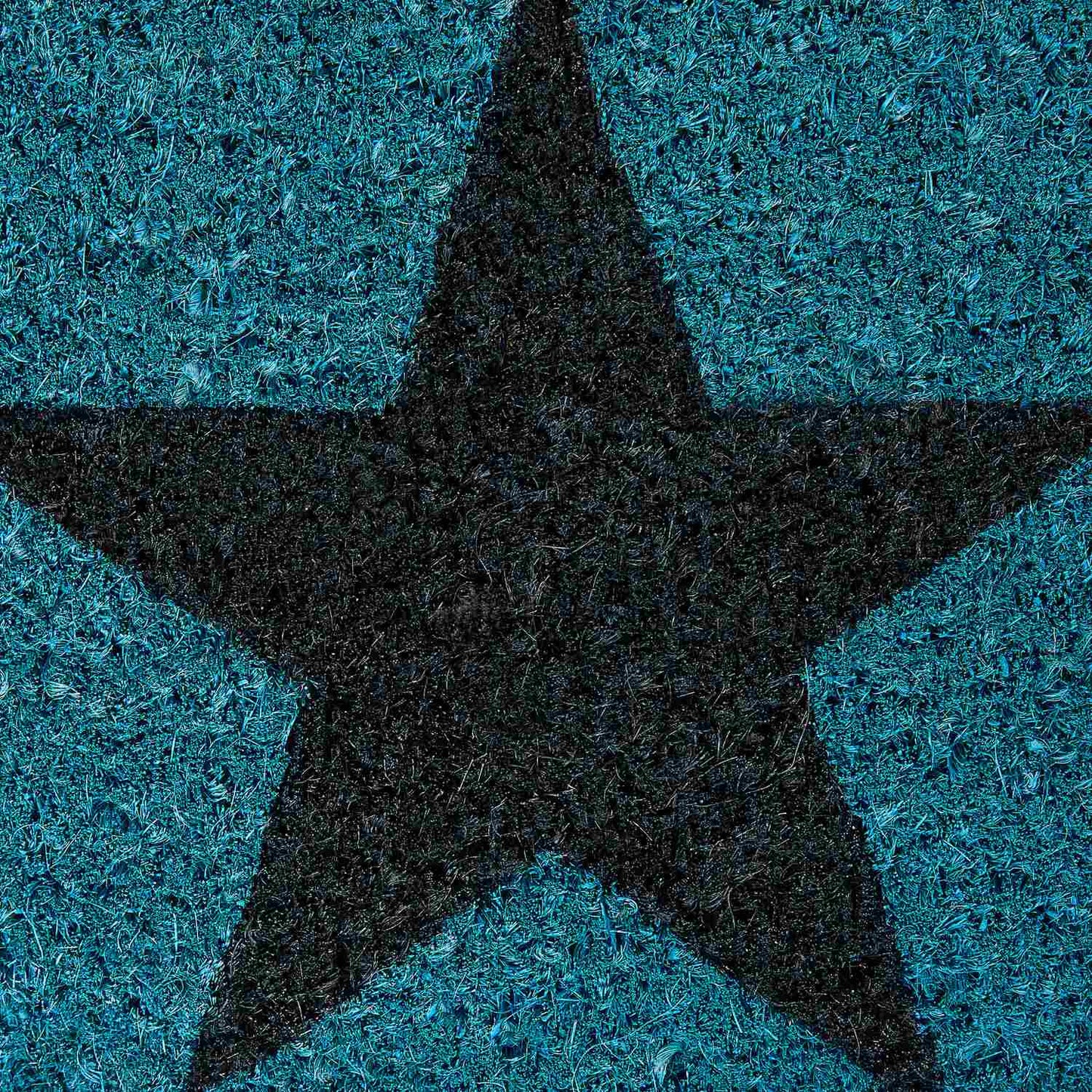 Door mat coconut fiber narrow with star