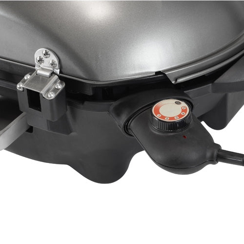 Electric grill on removable stand