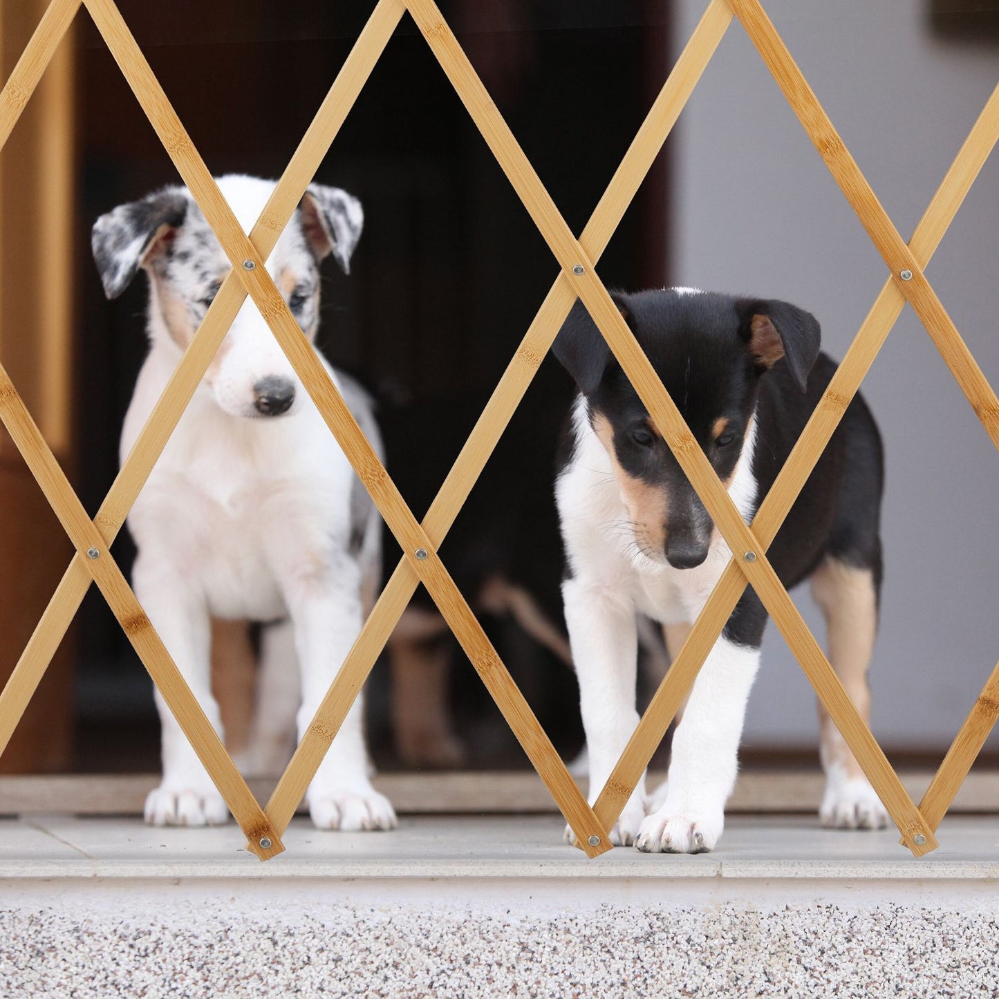 Extendable Dog Barrier, Natural Bamboo