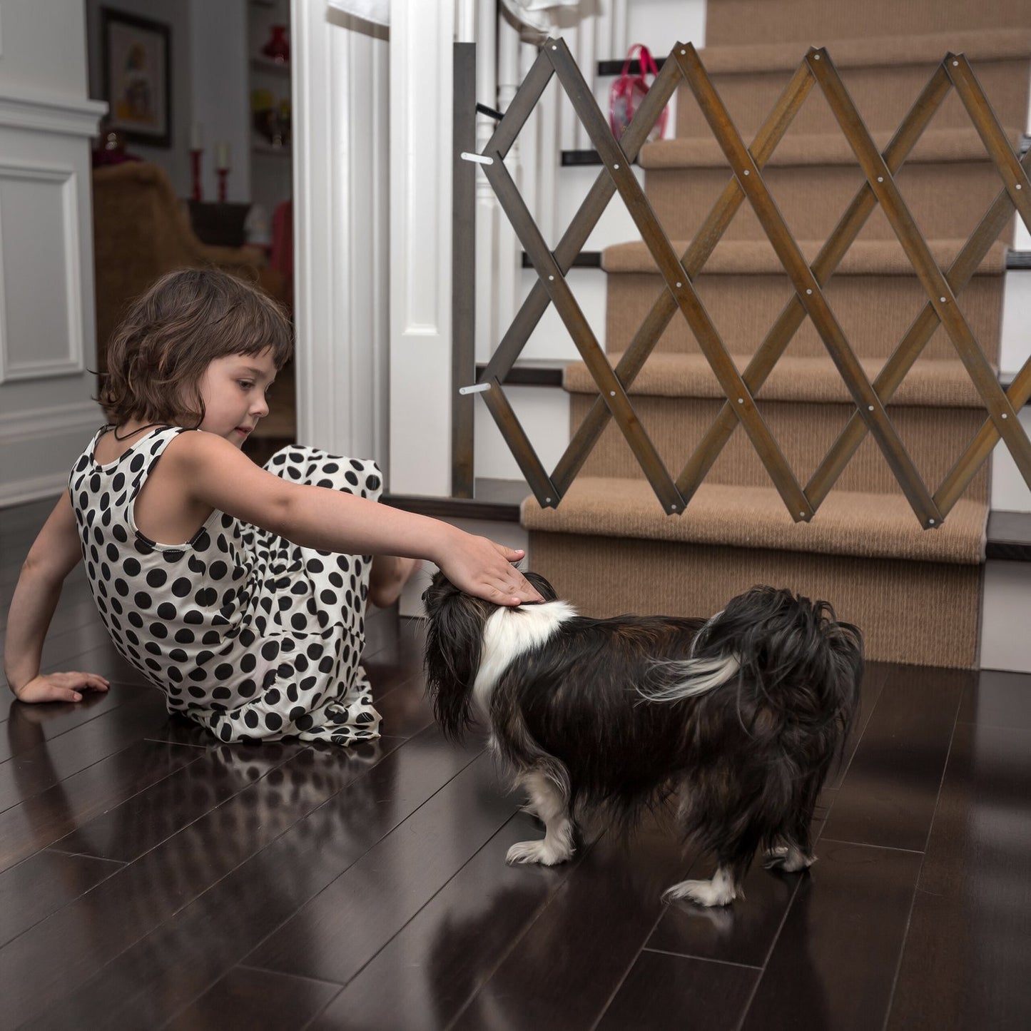 Extendable dog guard in brown