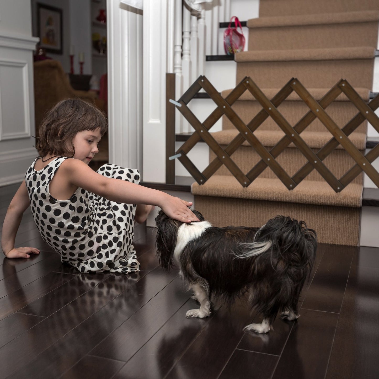 Extendable dog guard in brown
