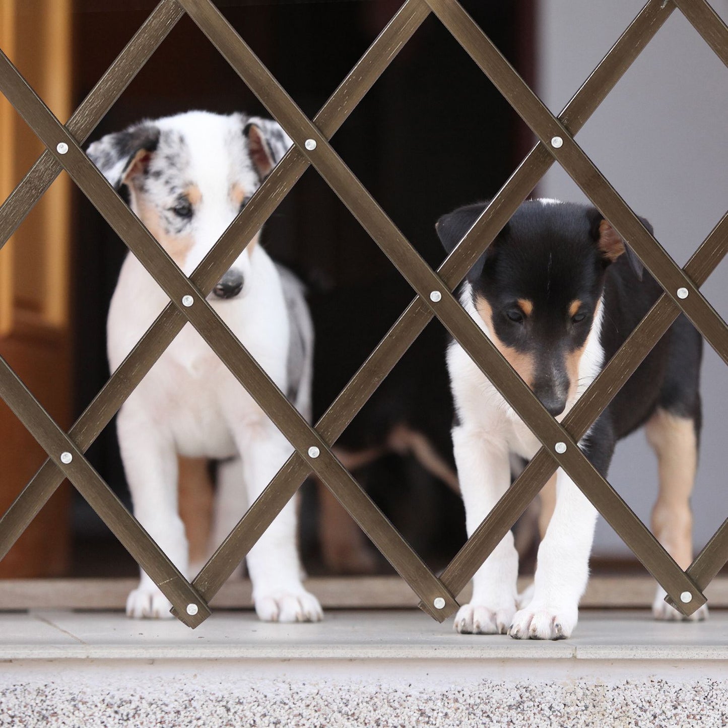 Extendable dog guard in brown