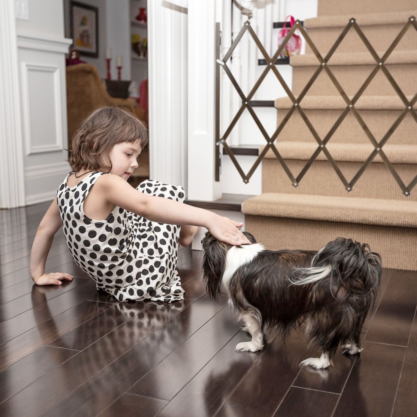 Extendable dog guard in brown