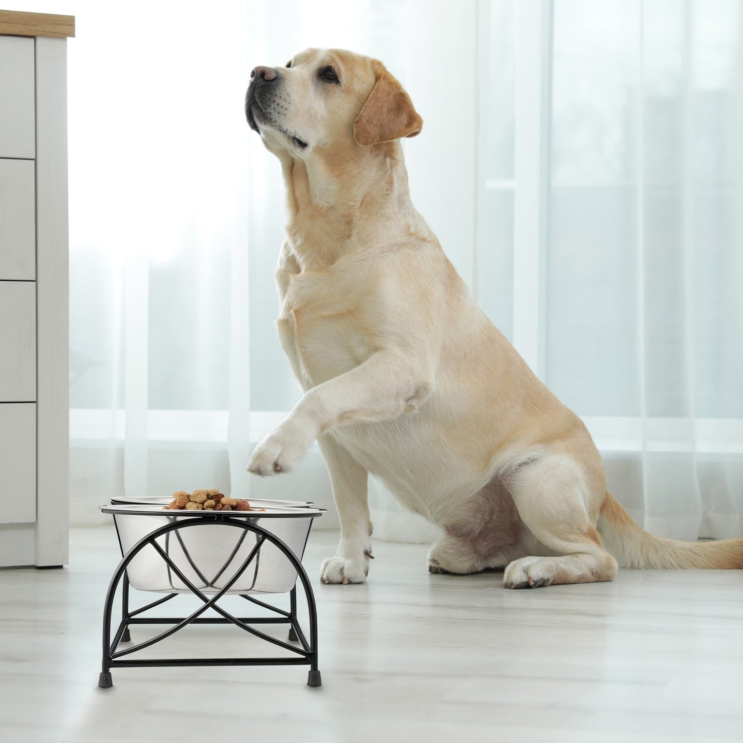 Feeding station for dogs