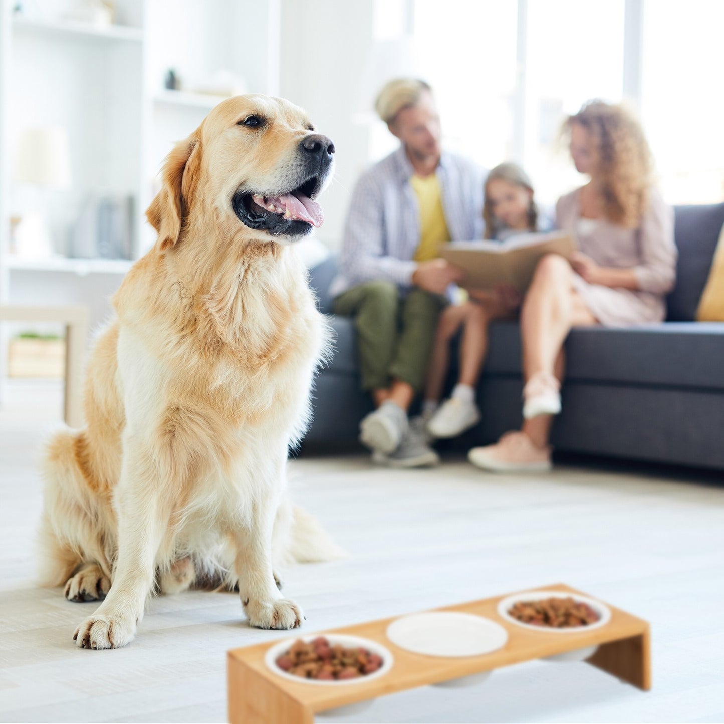 Feeding station for dogs