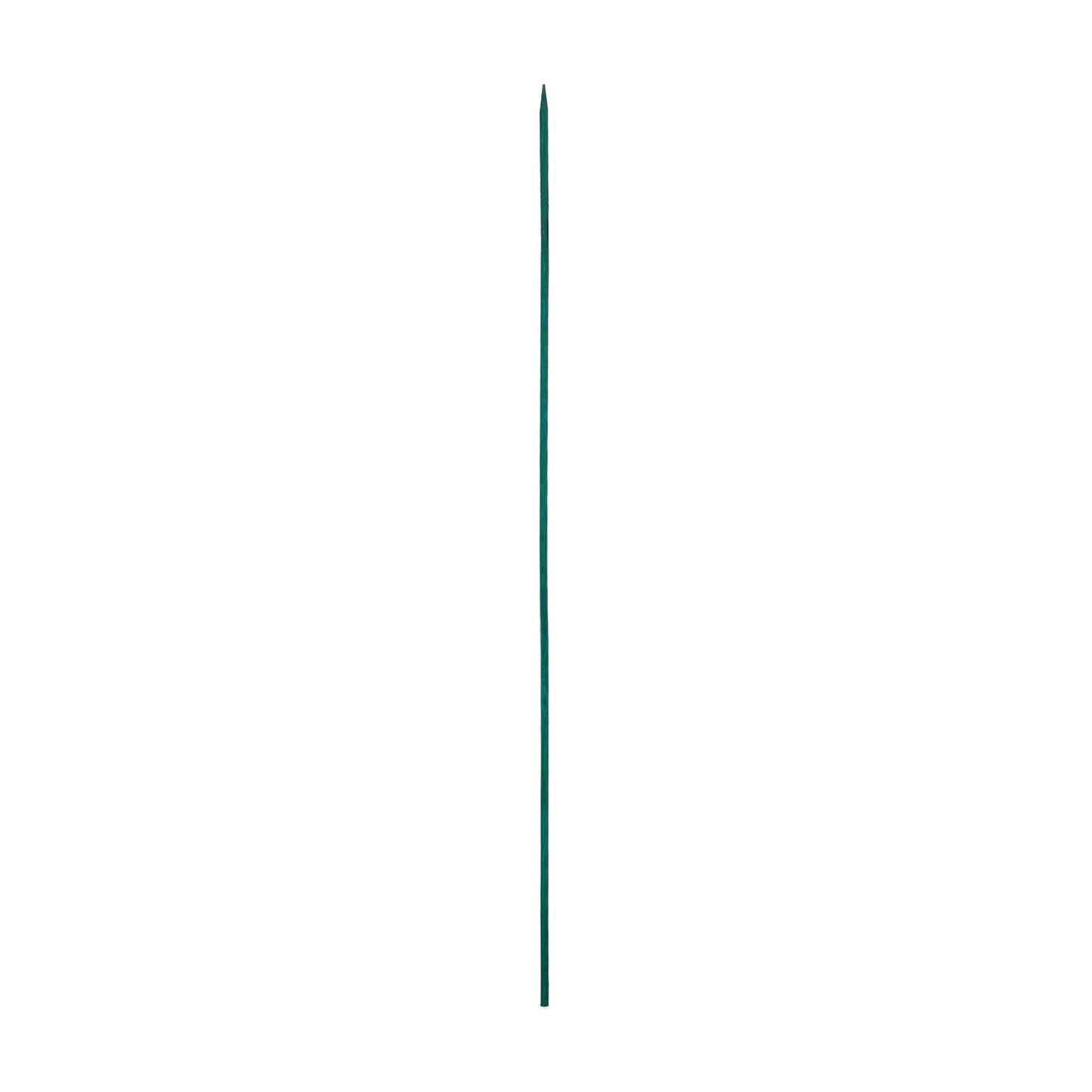 Flower sticks 30 cm in a set of 50
