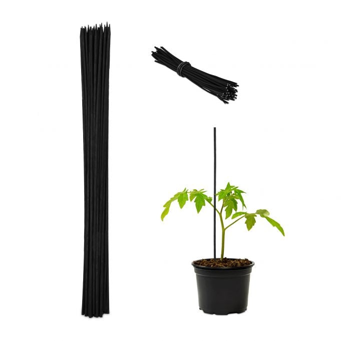 Flower sticks 60 cm in sets of 50