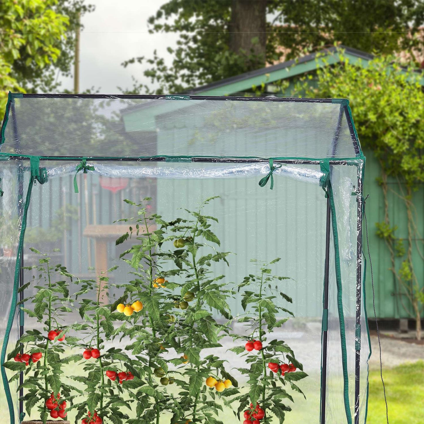 Foil Greenhouse PVC