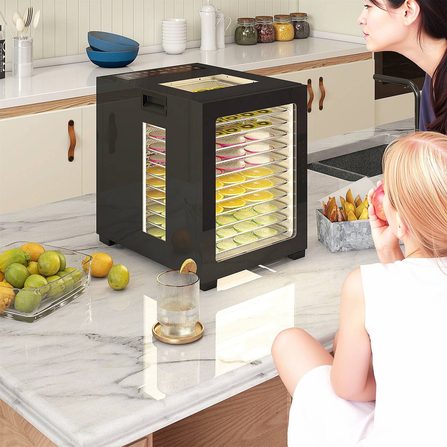 Food Dehydrator, 850W, 12 Stainless Steel Trays, Timer