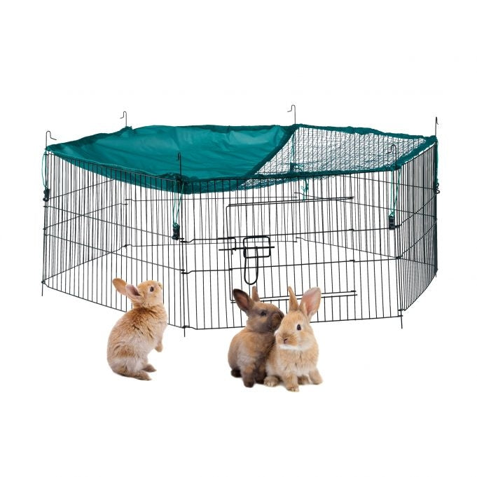 Free range fenced with netting