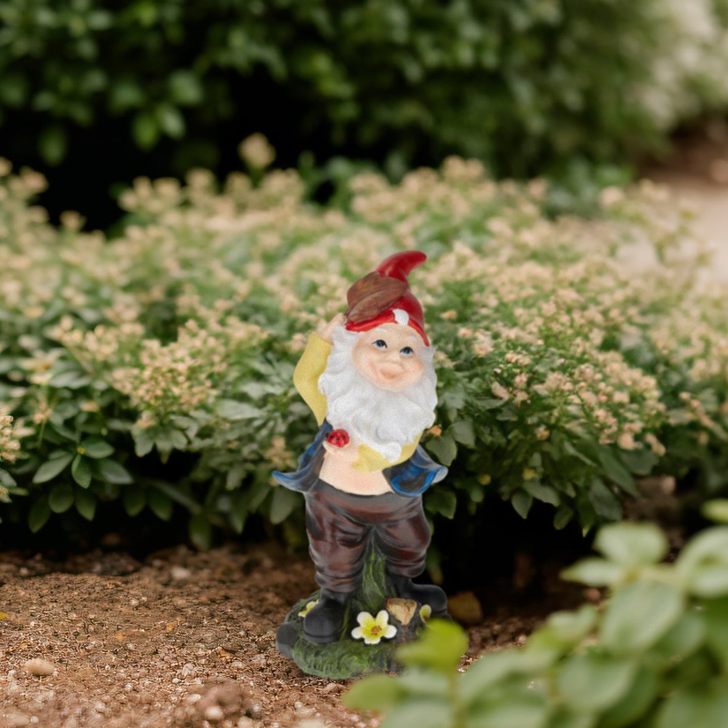 Garden gnome with ladybug