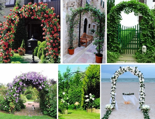 Garden pergola