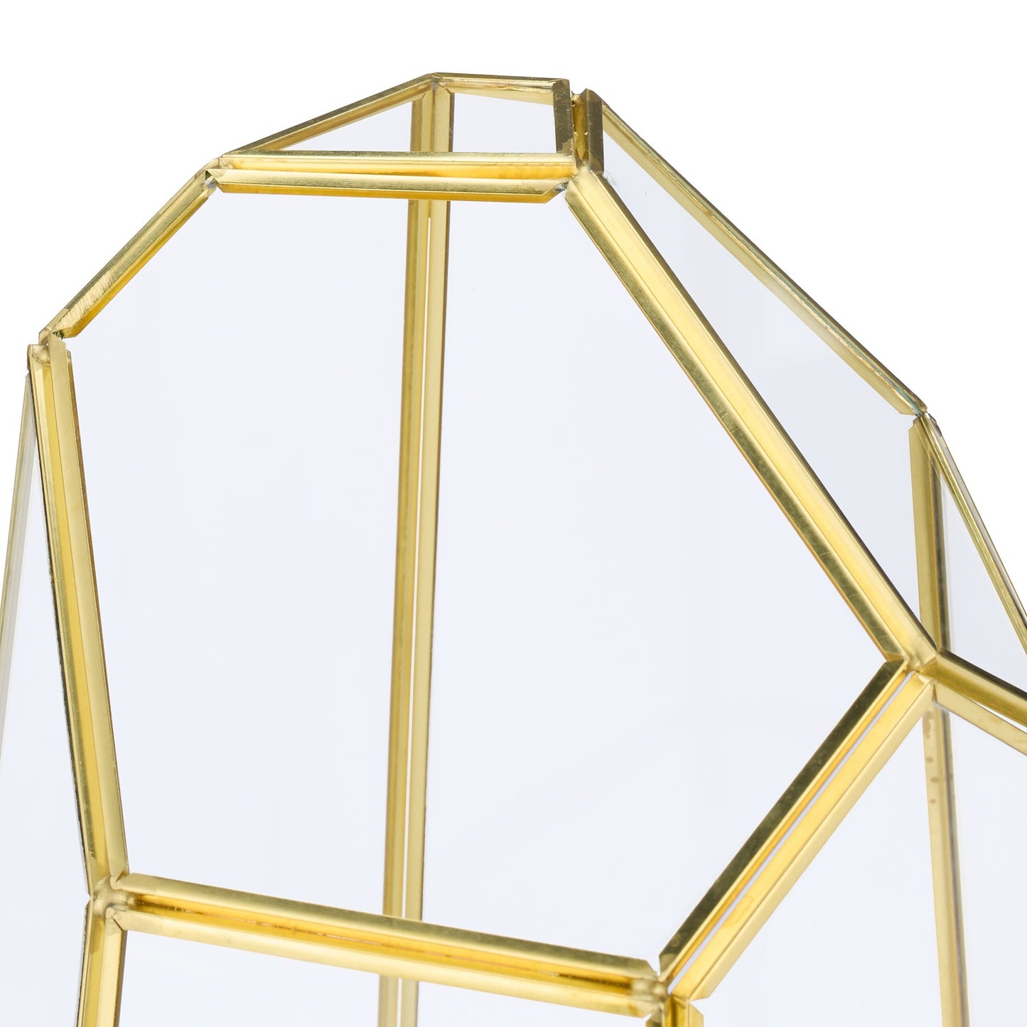 Geometric Glass Terrarium for Succulents & Air Plants