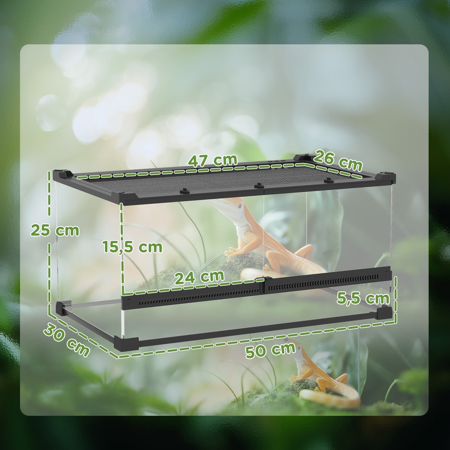 Glass Terrarium for Reptiles, Waterproof Base, Secure Lock