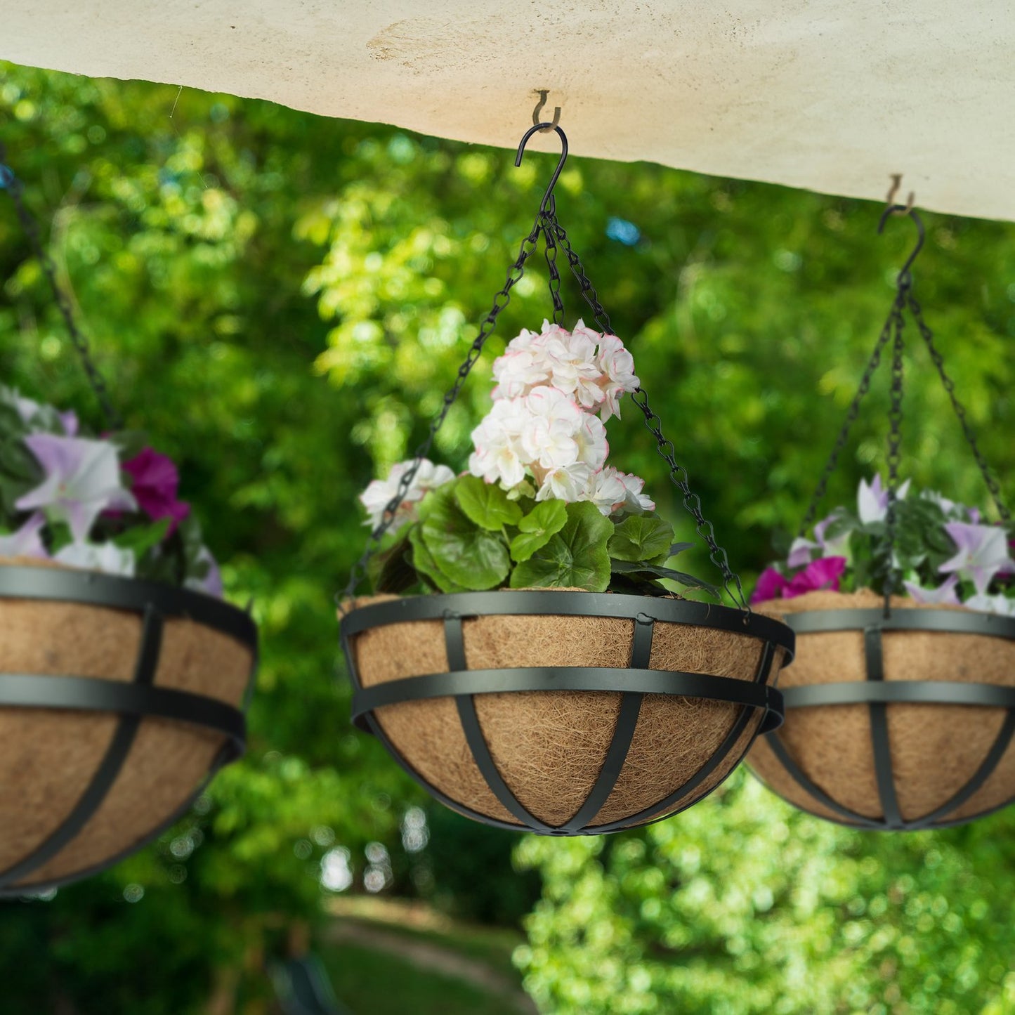 Grapevine Set of 3 with coconut inlays