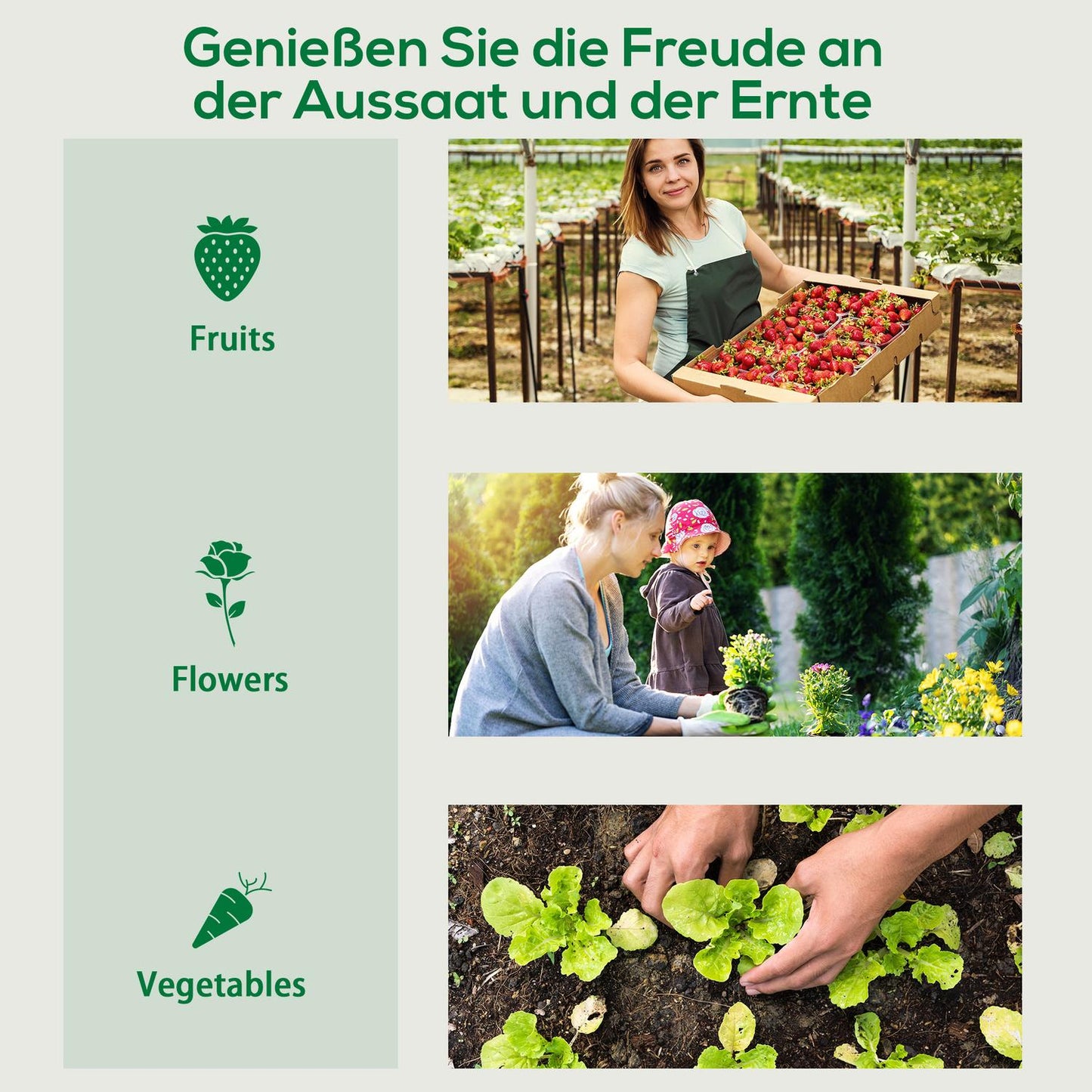 Greenhouse film, 200x68x196cm, windproof steel & PE