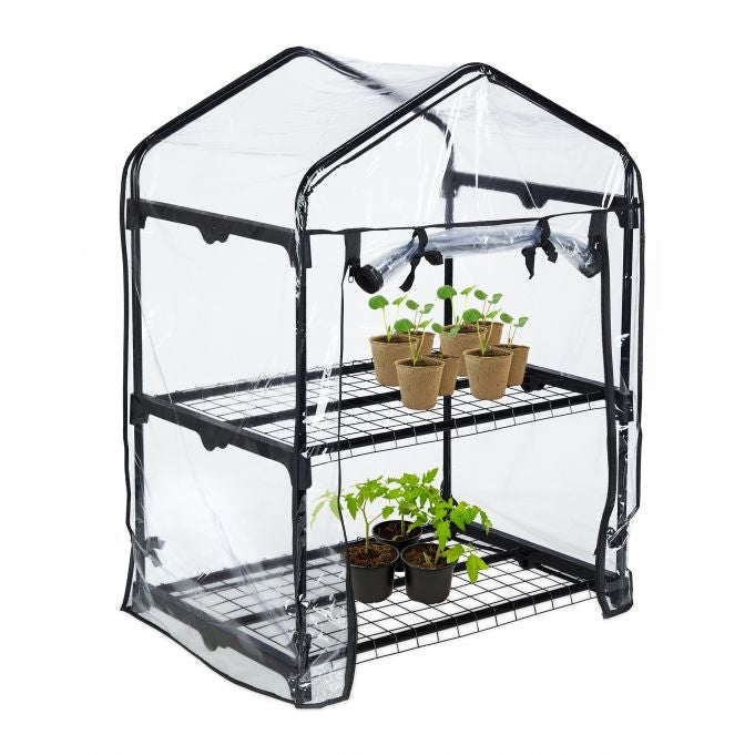 Greenhouse with 2 shelves