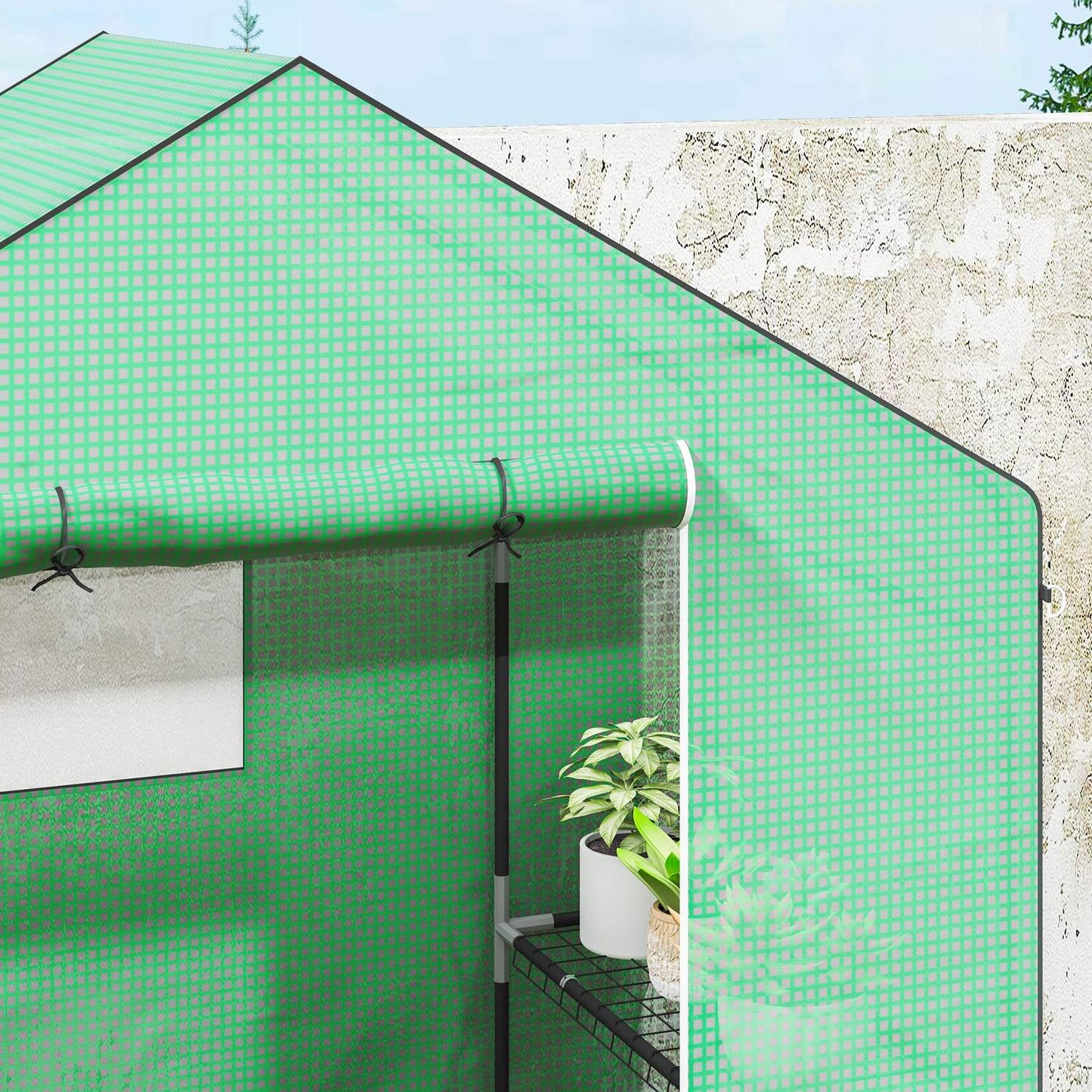 Greenhouse with shelves and roller door for tomatoes