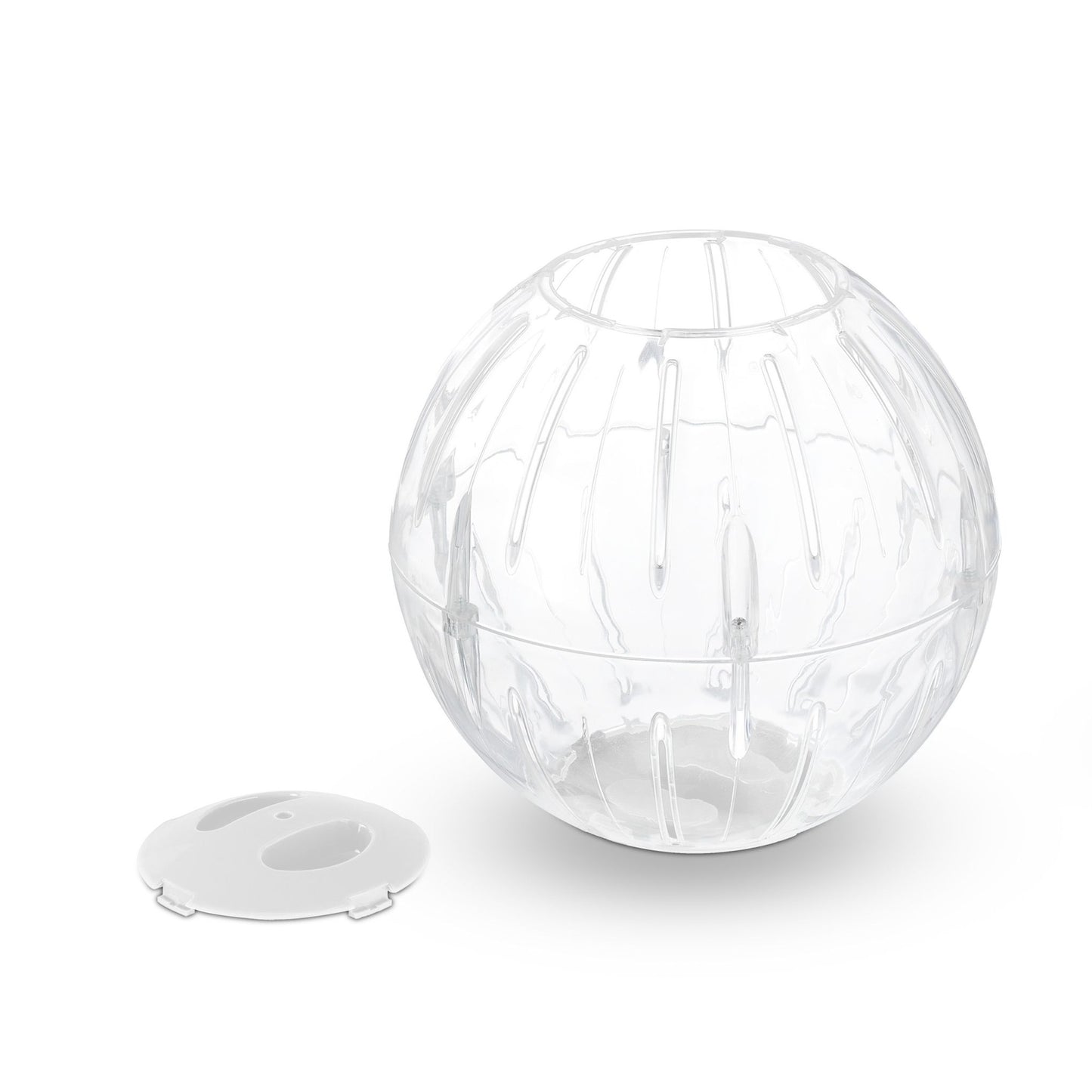 Hamster ball with white lid