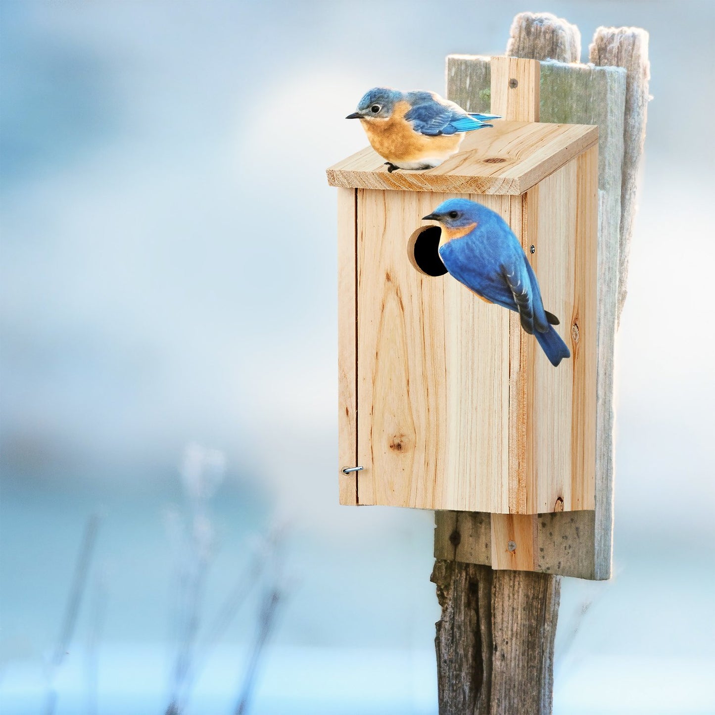 Hanging Wooden Nesting Box