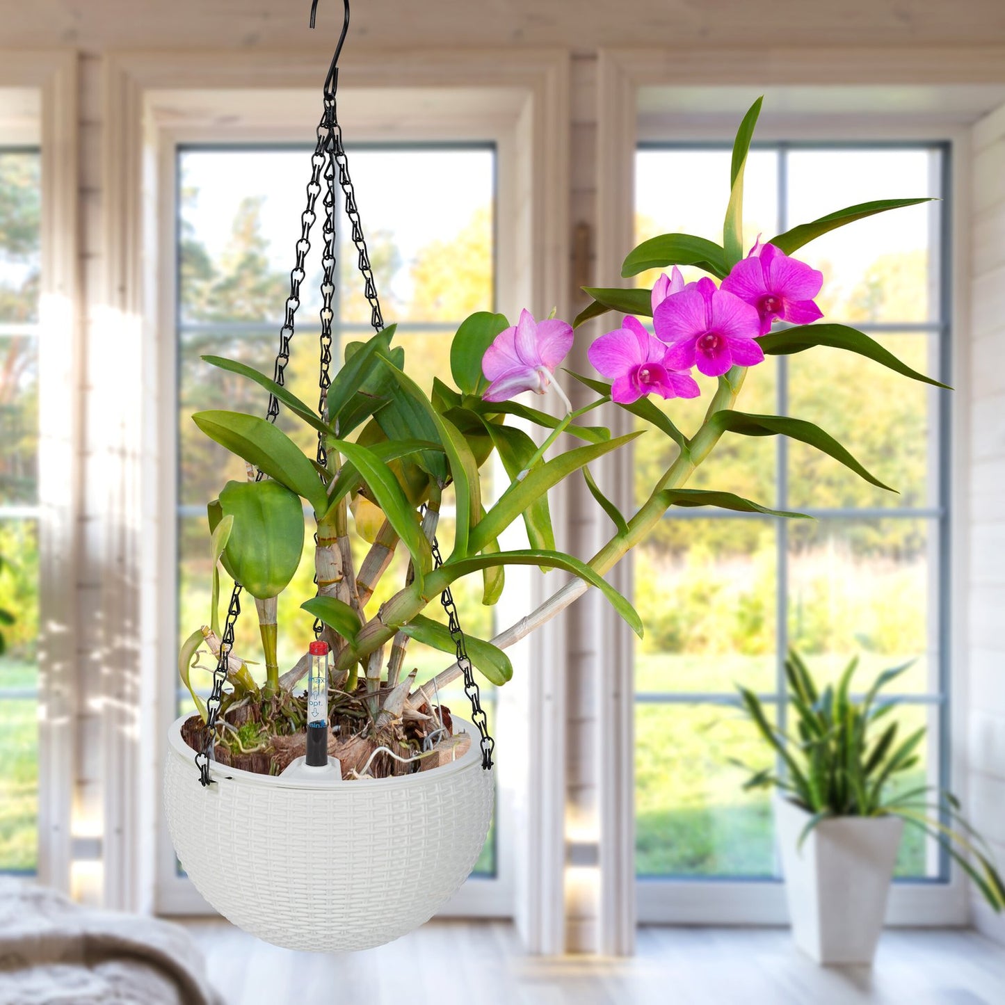 Hanging basket with water container set of 2