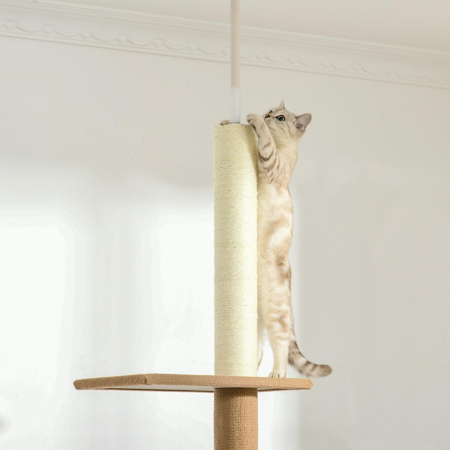 Cat climbing tree, height adjustable scratching post, khaki