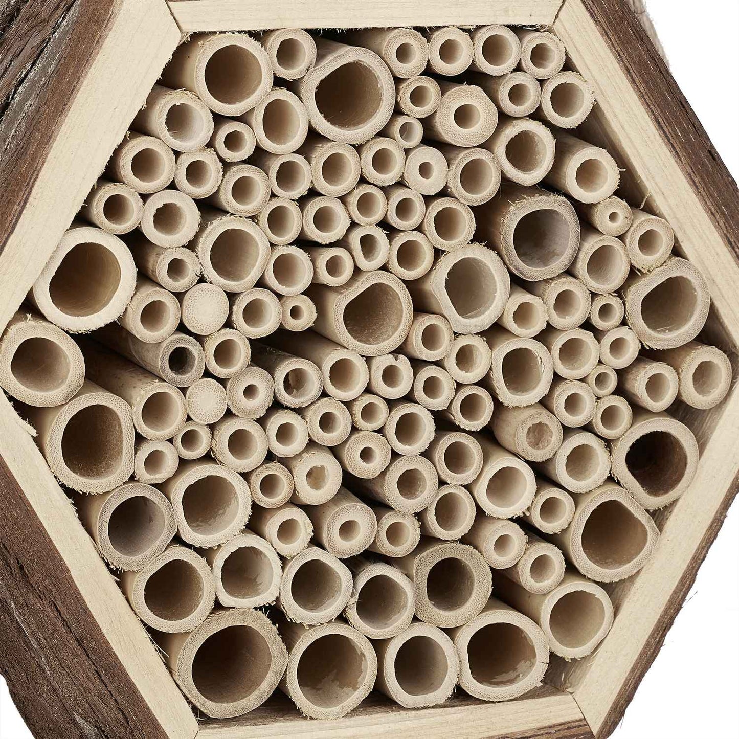 Hexagonal Insect Hotel for Bees