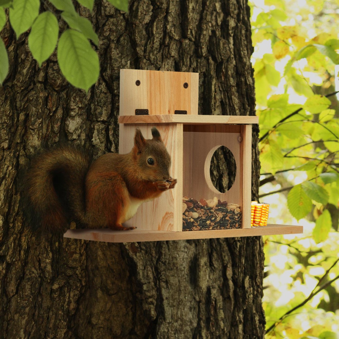 House for feeding squirrels