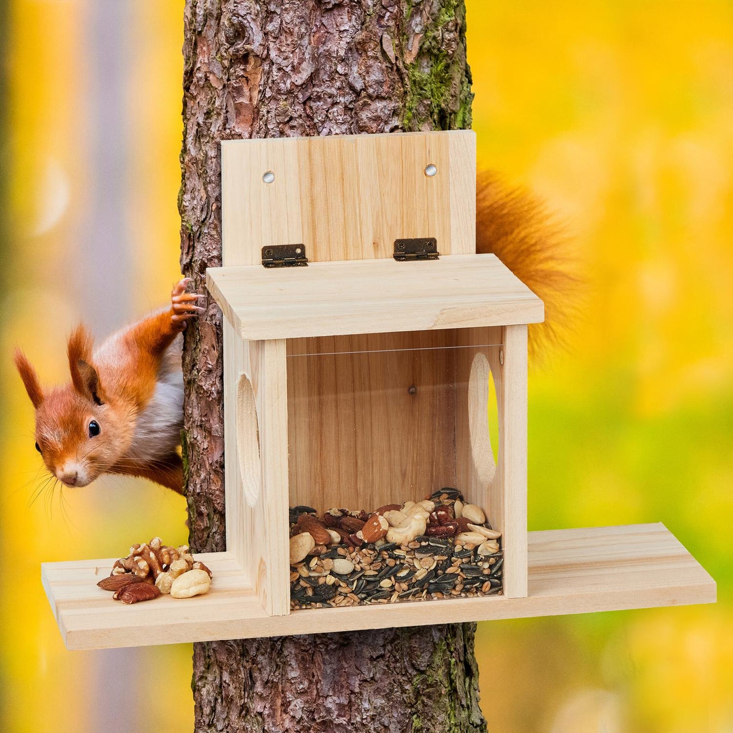 House for feeding squirrels