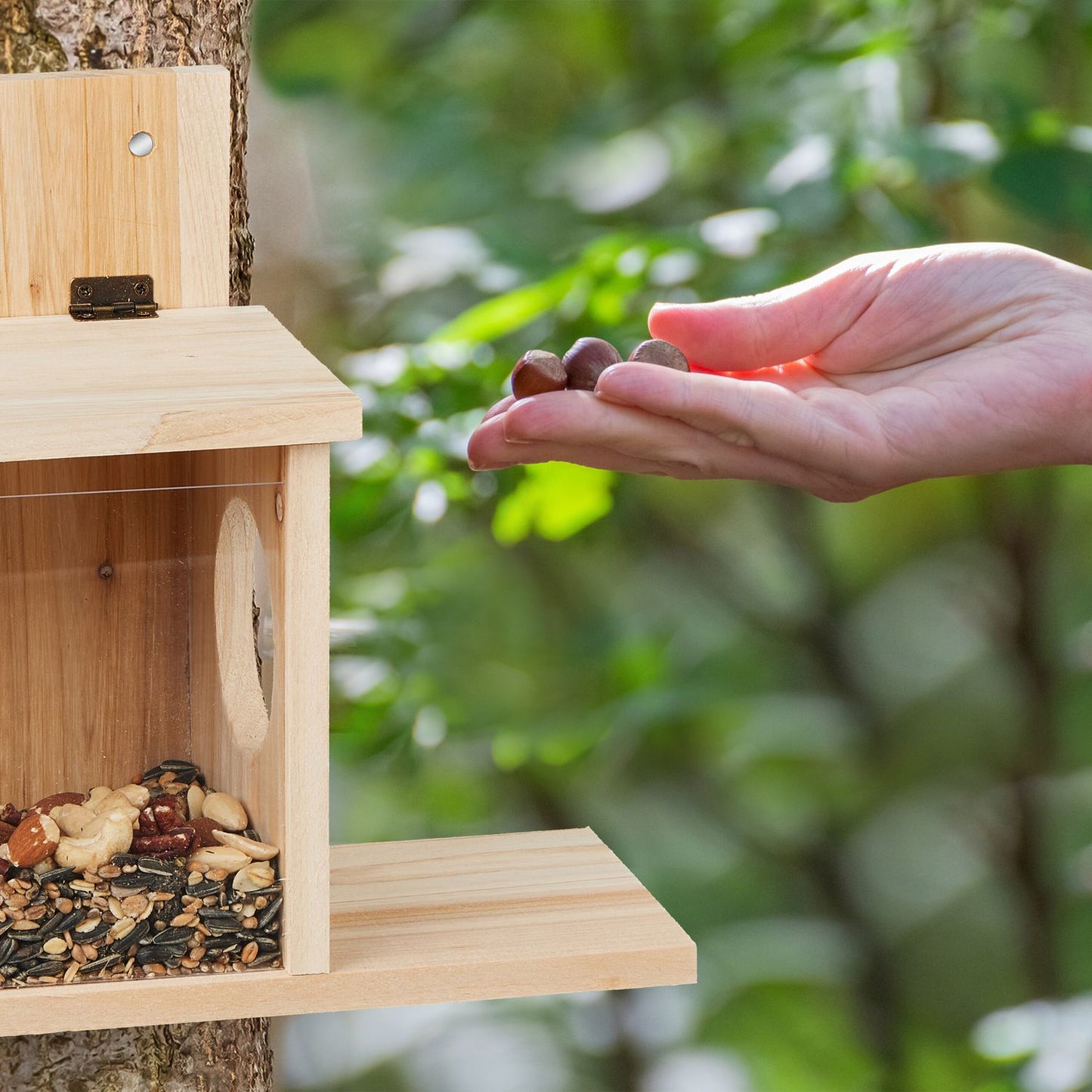 House for feeding squirrels
