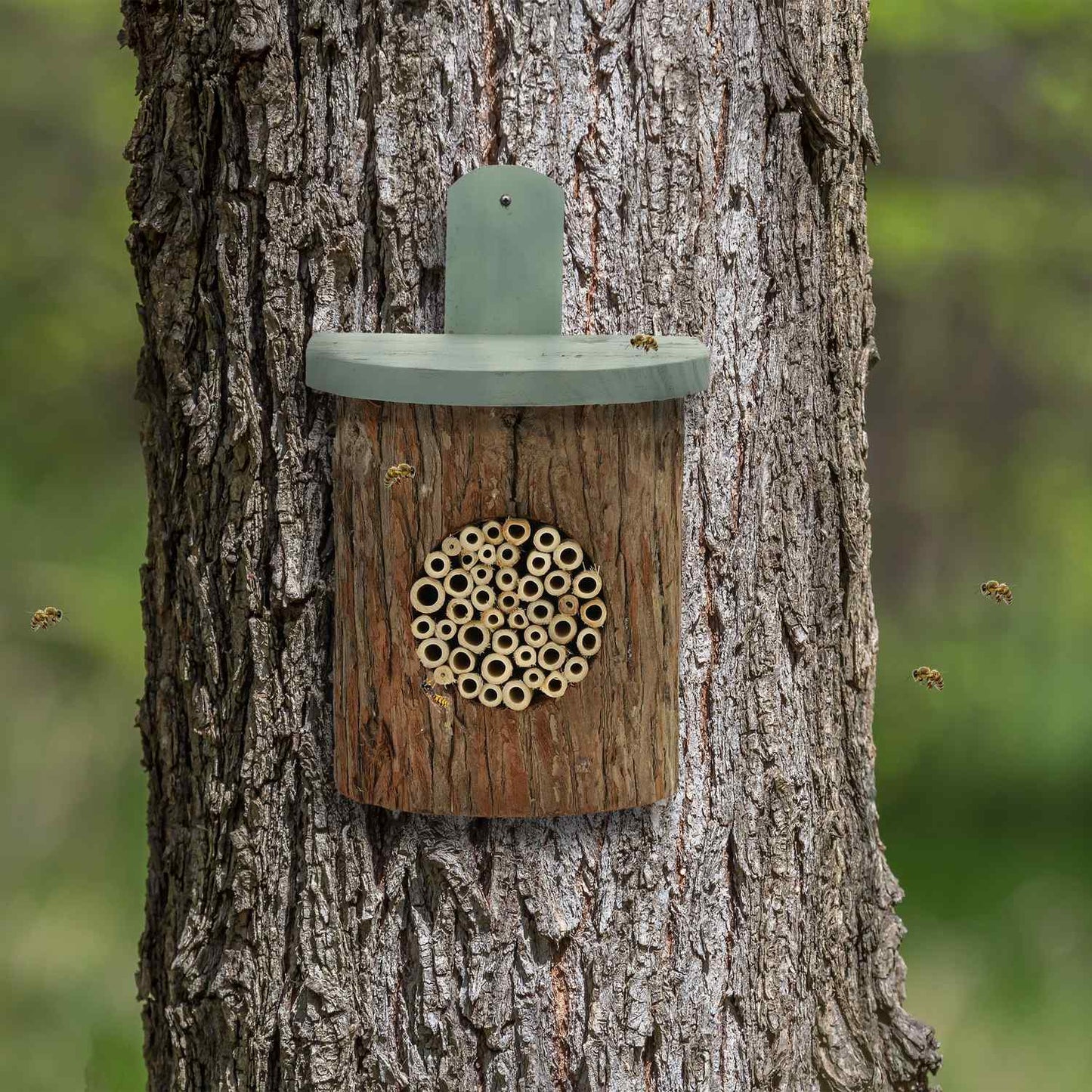Insect hotel for bees