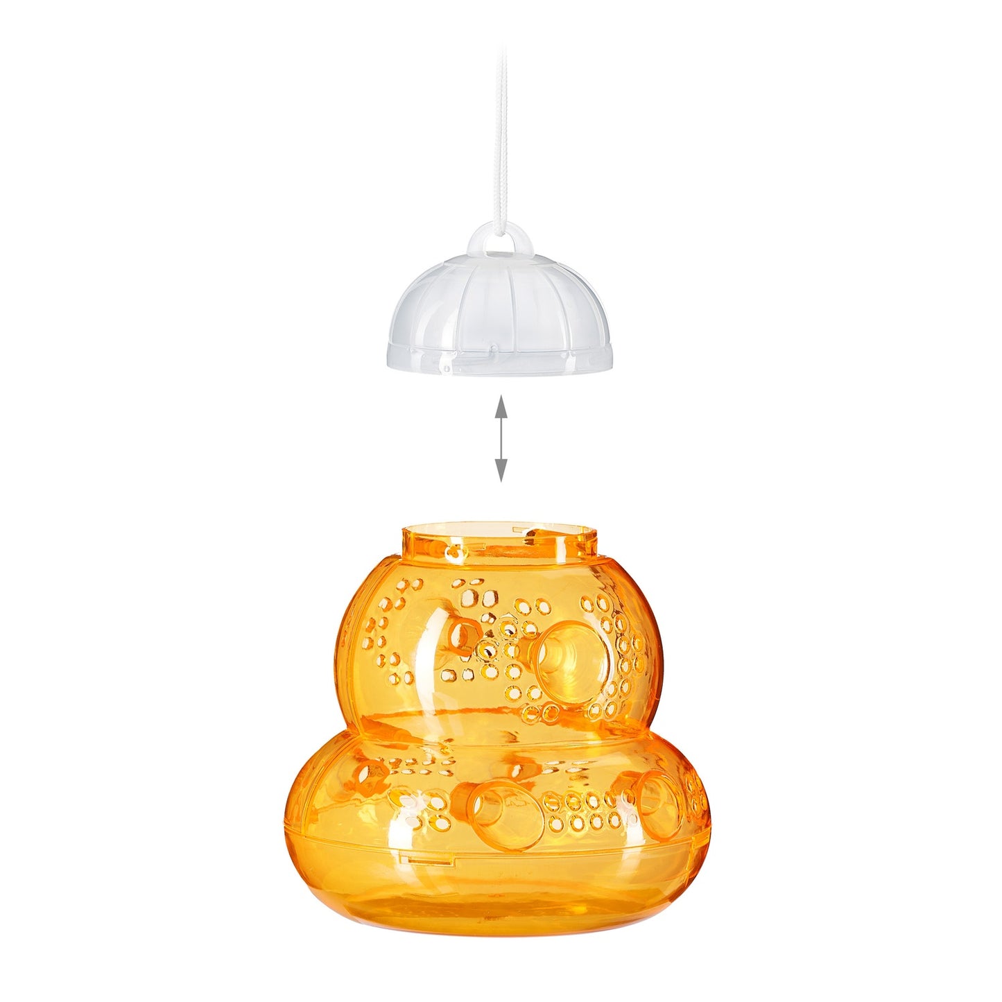 Insect trap 6 pcs