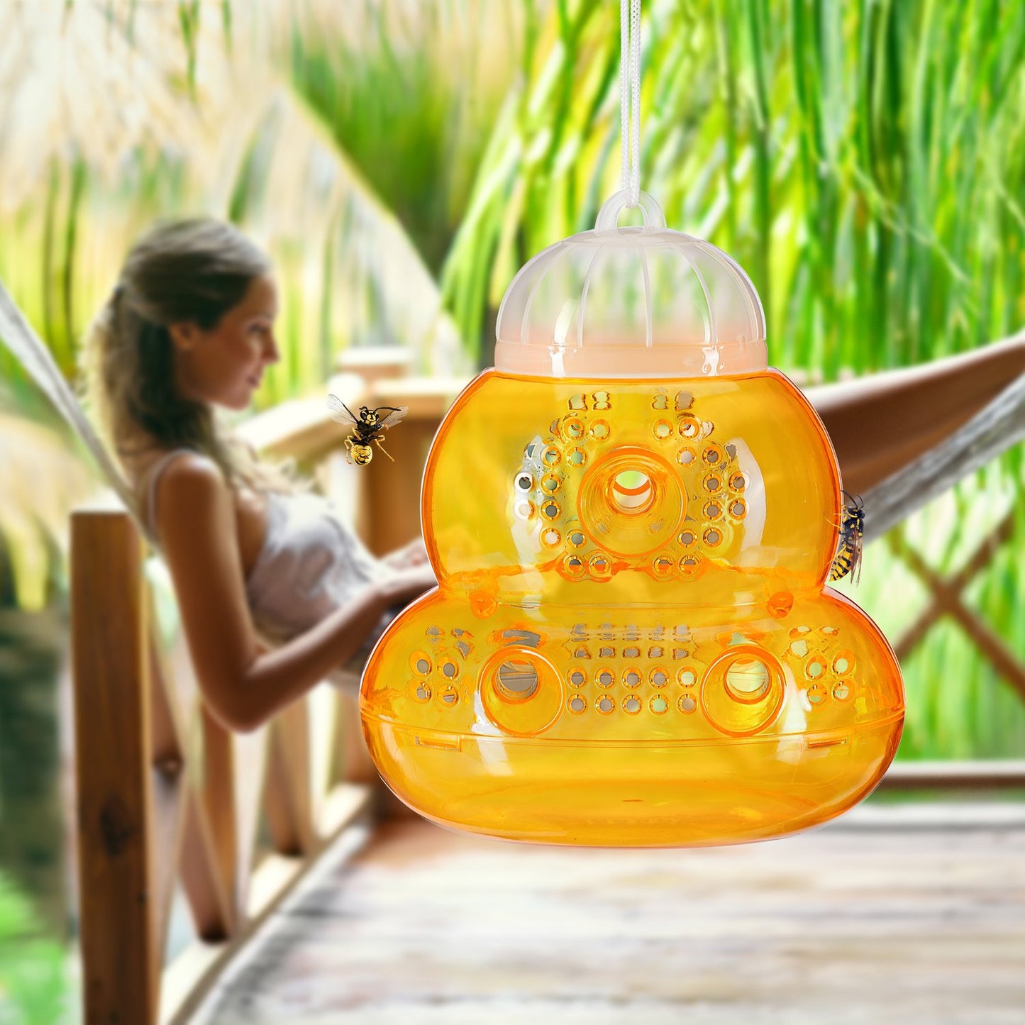 Insect trap 6 pcs