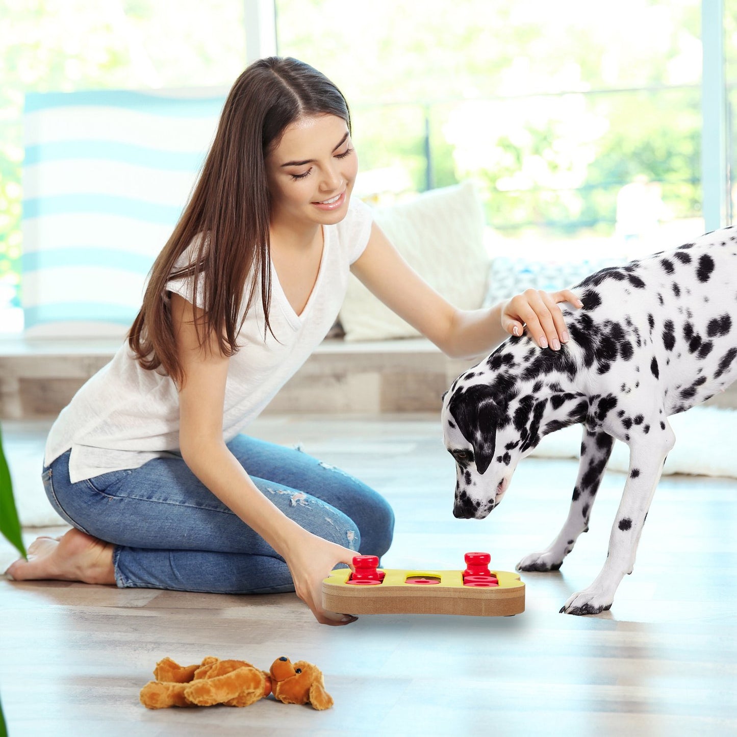 Intelligent toys for dogs