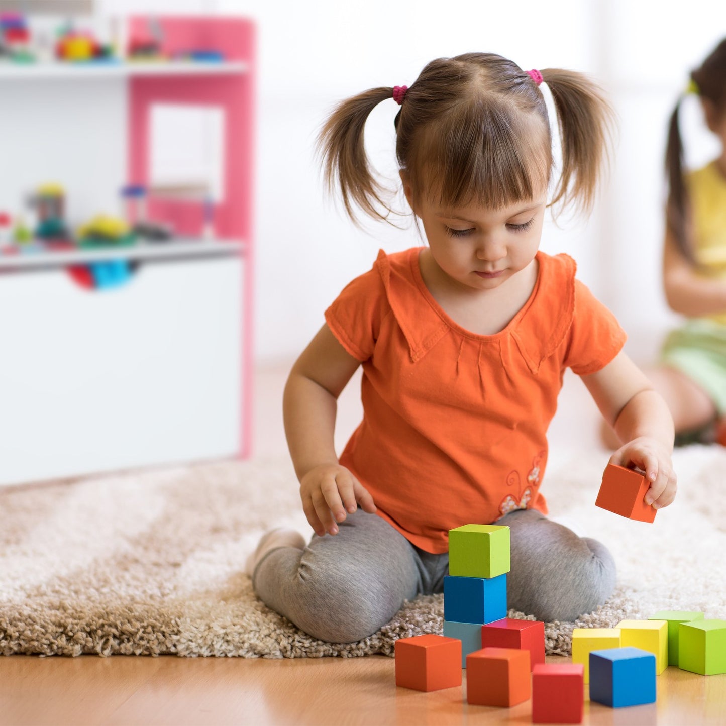 Kid's Shelf with Building Block Panels