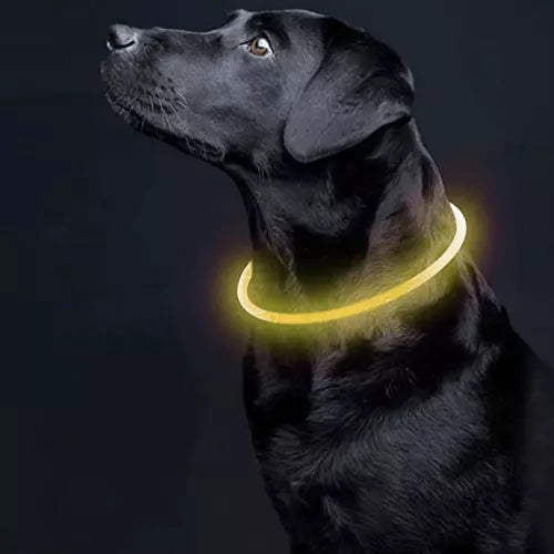 LED light-adjustable collar Purlov 21631