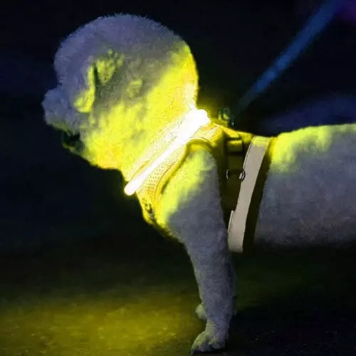 LED light-adjustable collar Purlov 21631