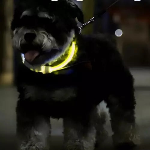 LED light-adjustable collar Purlov 21631