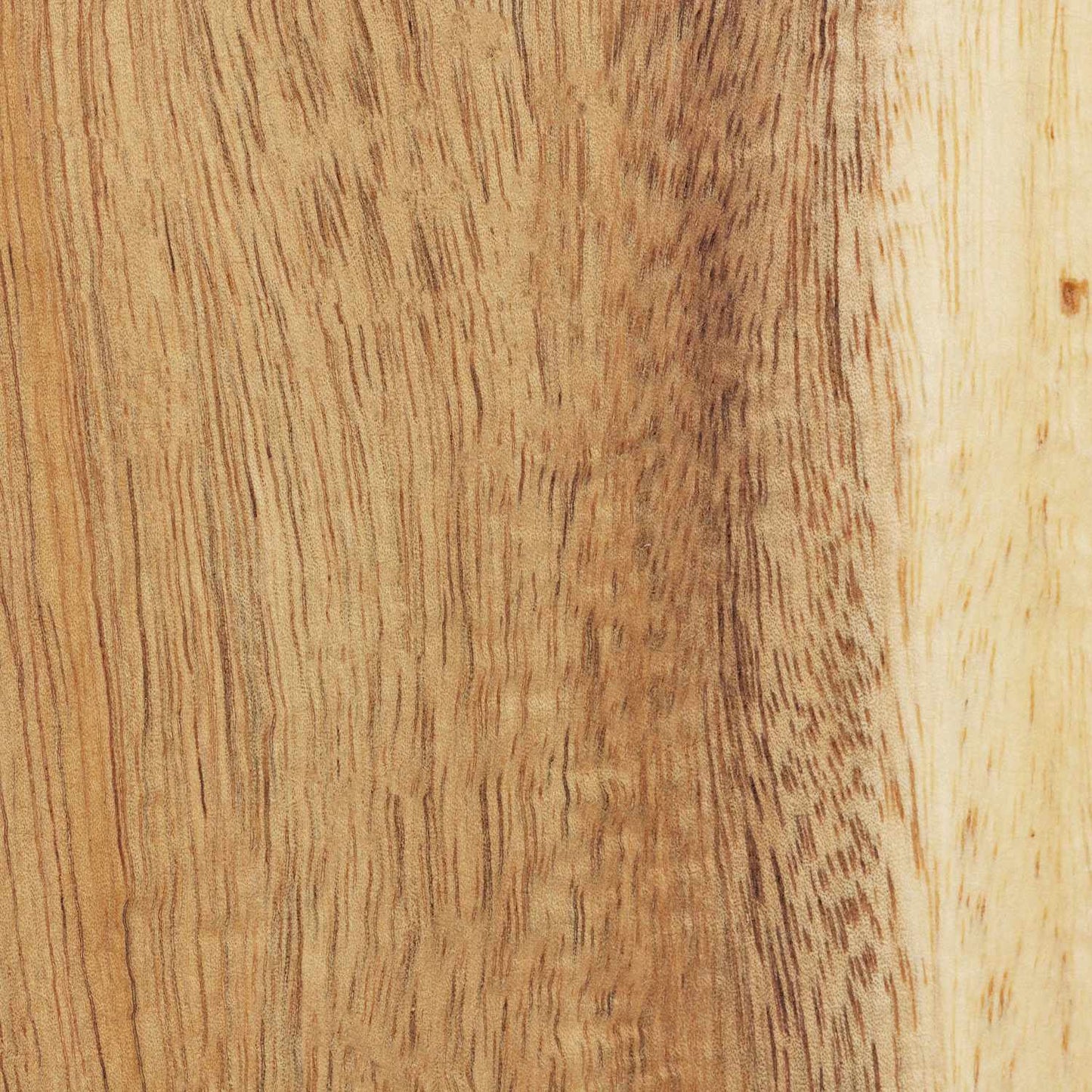 Makeup storage with mirror