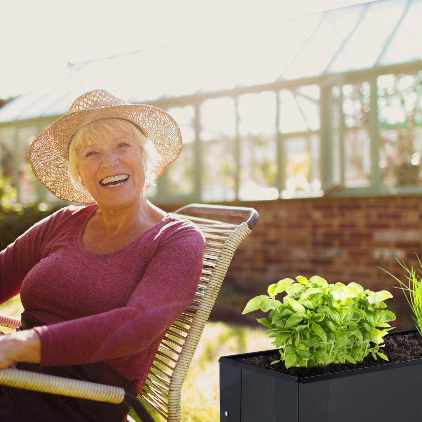 Metal Raised Planter Box in Black