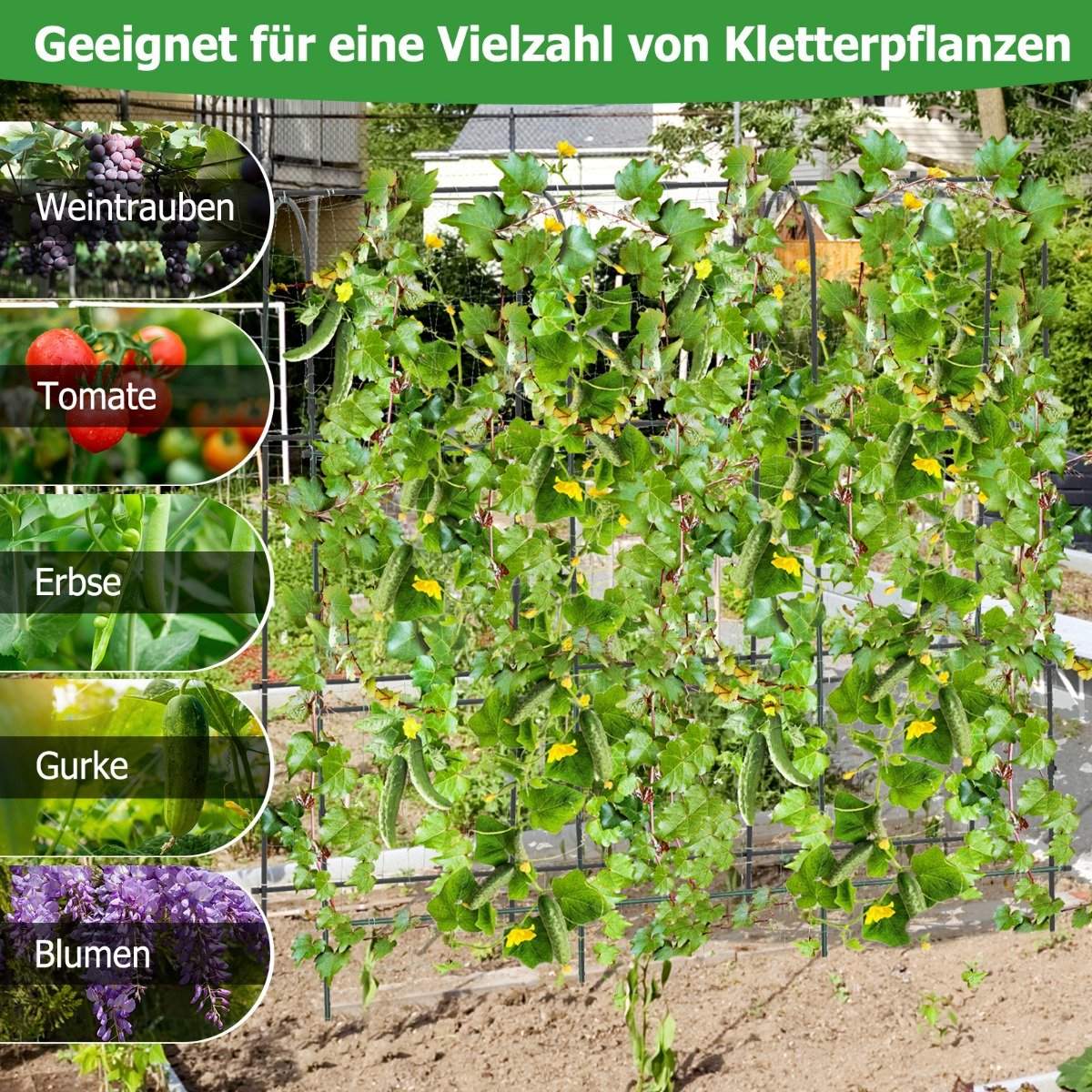 Metal trellis with trellis net for climbing plants support U-shaped high garden cucumber trellis