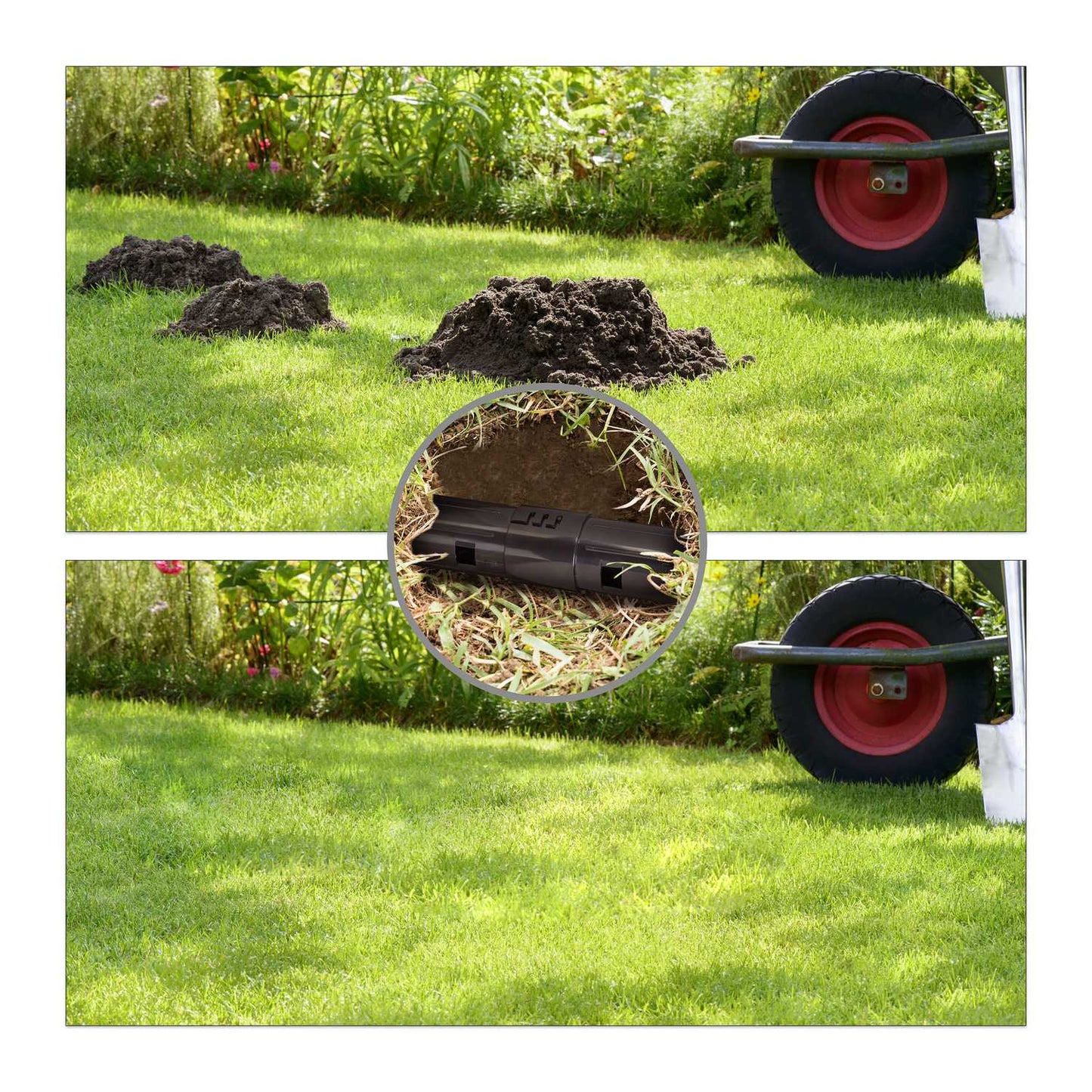 Mole trap live trap set of 2