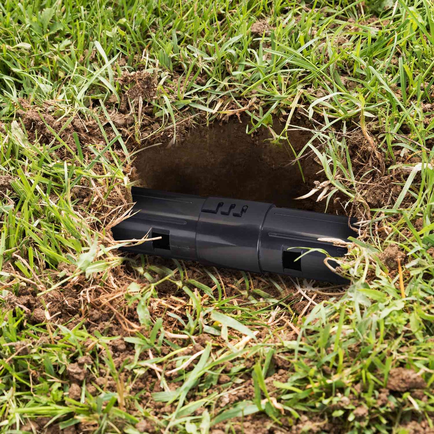 Mole trap live trap set of 2