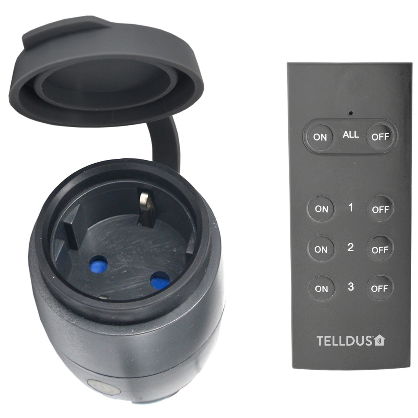 Outdoor receiver IP44 + Remote 433MHz