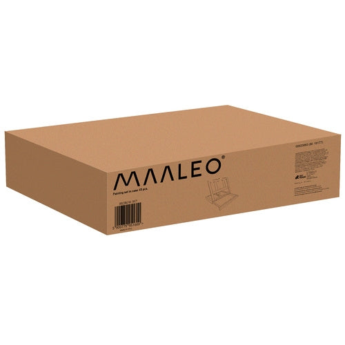 Painting set in a case 45 pcs Maaleo 23863