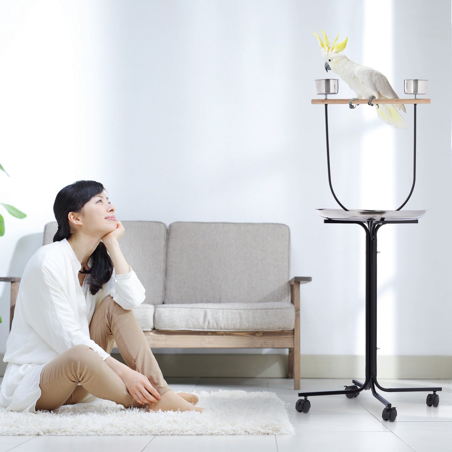 Parrot Perch