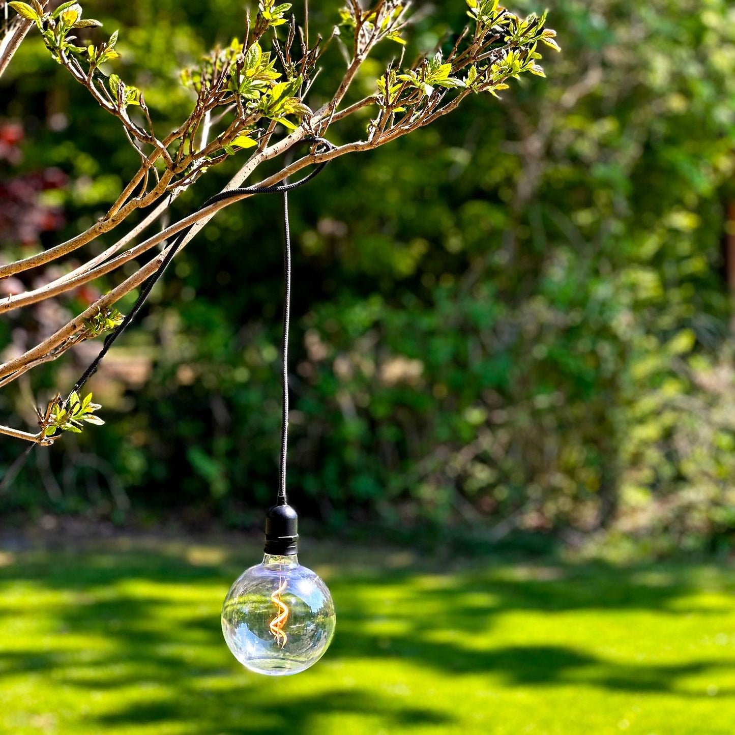 Penny Pendant lamp Gravity + DecoBulb XL Warm white