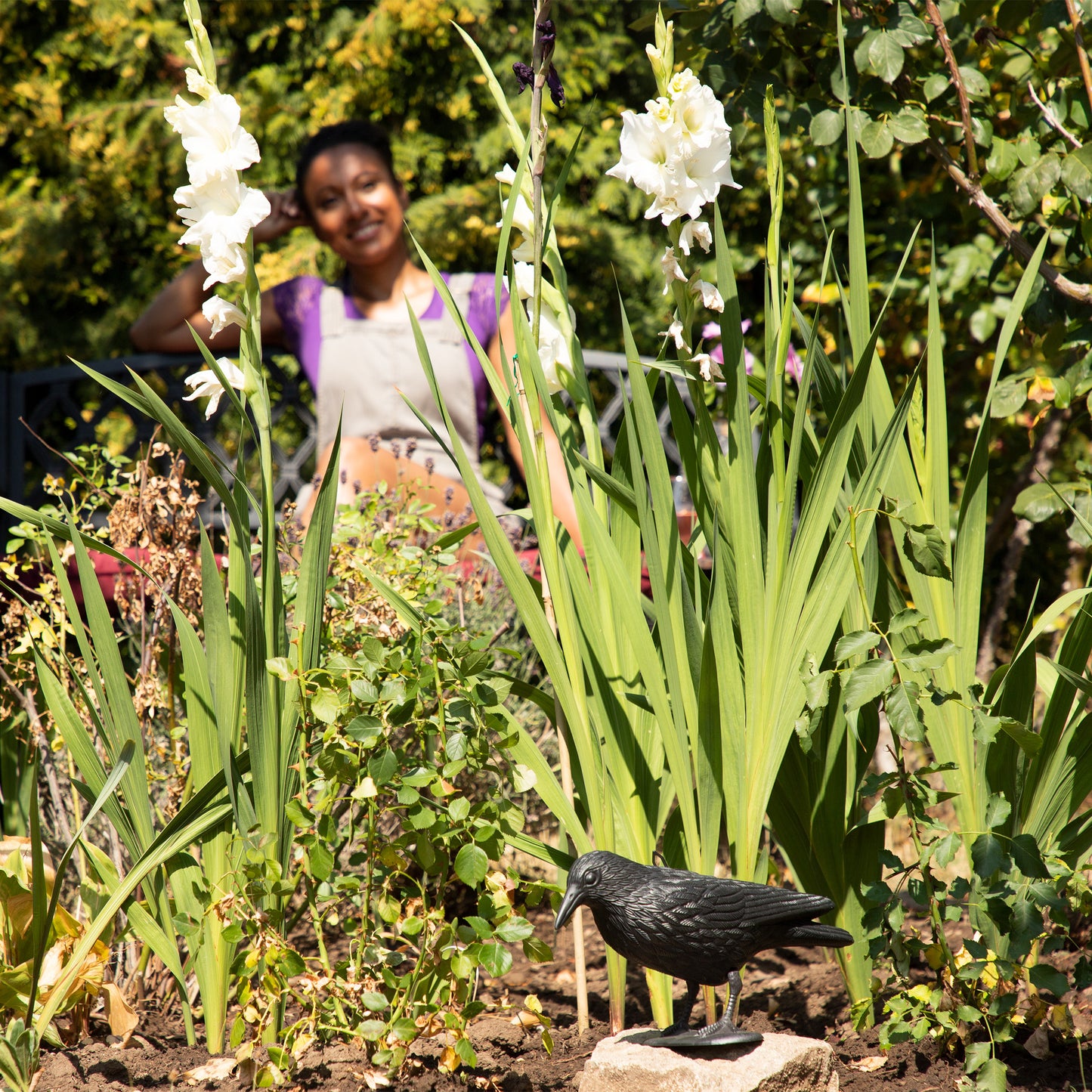 Perching Crow Bird Repellent